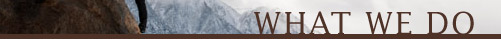 home title